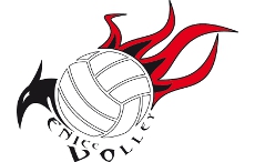 Collaborazione con Fenice Volley