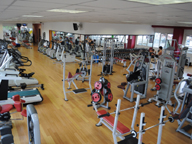 Palestra TopGym I e TopGym II